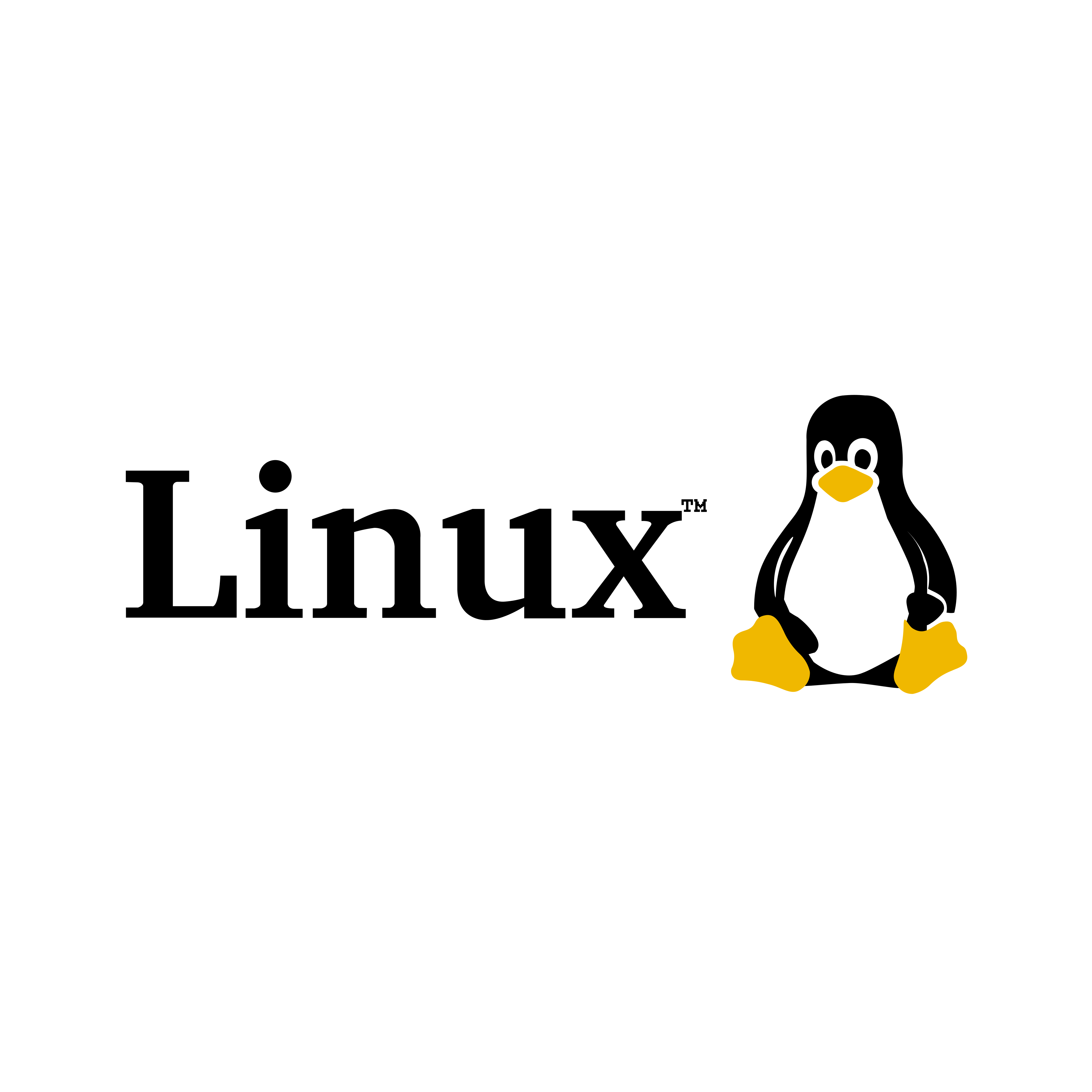 Linux Logo